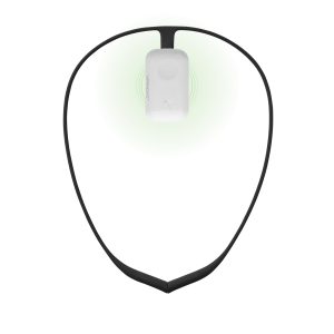 Upright Bundle: GO 2 Posture Correc...