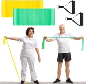 2 Pcs Resistance Band with Handles ...