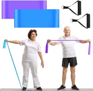 2 Pcs Resistance Band with Handles ...