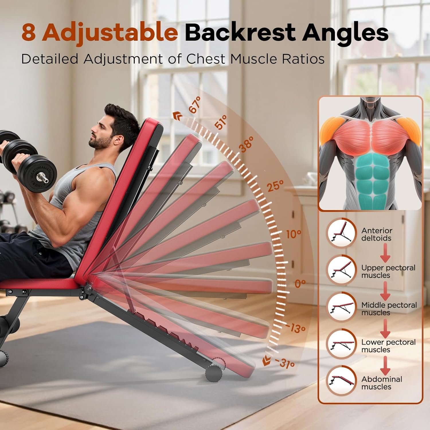 NICEPEOPLE Basic Weight Bench for Home Gym, 8 Backrests Adjustable Bench with 660LBS Weight Capacity for Chest Shoulders Arms Muscles, Foldable and Compact for Small Space Apartment Room - Image 3