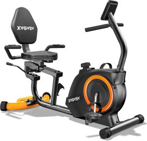Recumbent Exercise Bike for Home Us...