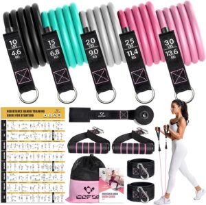 Resistance Bands with Handles for W...